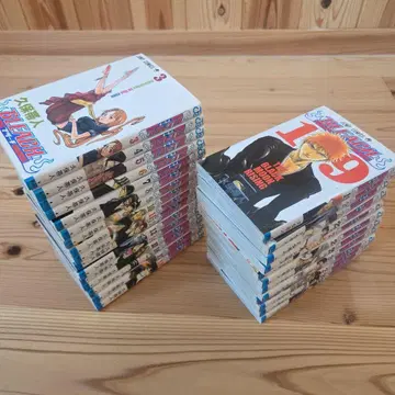 BLEACH 3권 ~ 30권