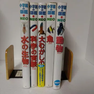 소학관의 도감 neo 5권 세트