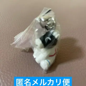 아이돌 호스 미니 컬렉션 41 최신 하야야코