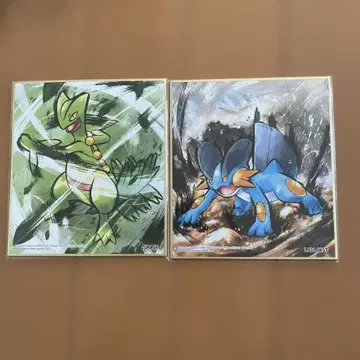 포켓몬 색지 art 주카인 라그라지