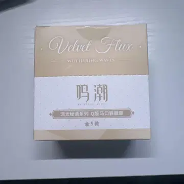 명조 유광비어 SD 캐릭터 캔뱃지 5종 세트 TGP 공식 정품