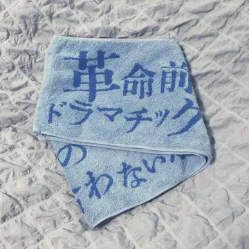 혁명 전야는 그 녀석의 역겨운 부분을 말하자 타월