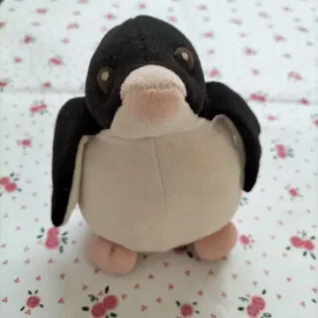 키토폴리 펭귄 봉제 인형