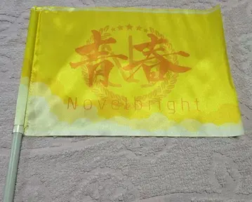 Novelbright 청춘기 황