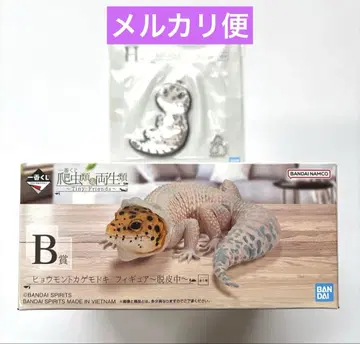 제일복권 파충류 & 양서류 B상 레오파드 도마뱀 피규어 ~탈피 중~