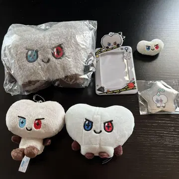 TREASURE 준규 본 본 세트