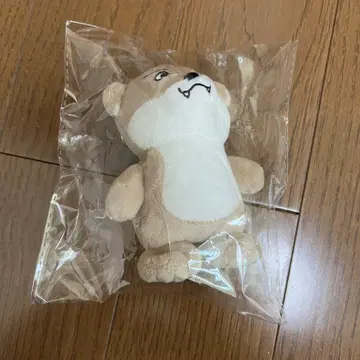 원엔 REI 사와우소군
