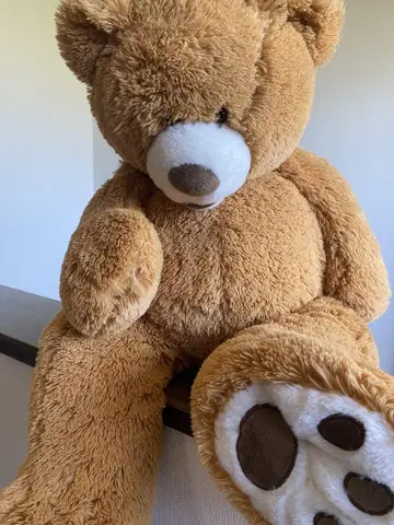 미사용 새상품급 코스트코 Bear 브라운 곰 봉제 인형
