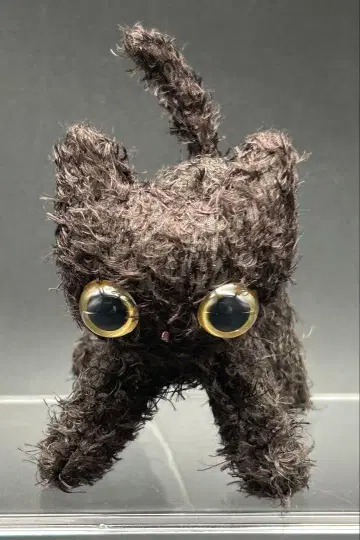마리 메종 드 뮤 cat,cat,cat 택 포함 쇼콜라 미사용 새상품