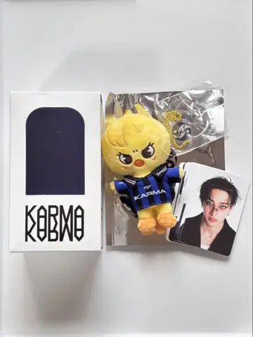 straykids KARMA SKZOO 포가리 필릭스 스키즈