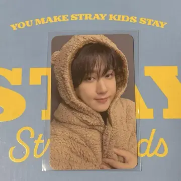 straykids karma 창빈 리스펙 트레이딩 카드