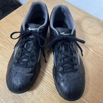 MIZUNO MONARUCIDA NEO 26cm
