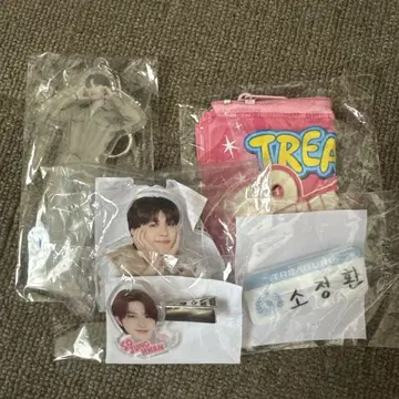 treasure 정환