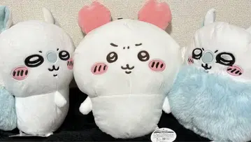 모몽가와 머리띠