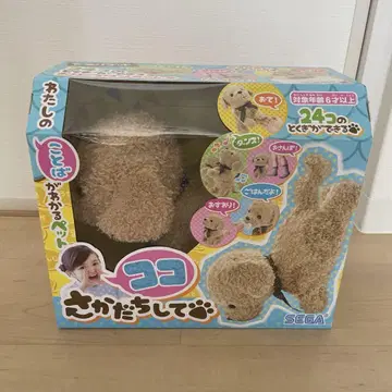 코코 물구나무 서서 애프리콧