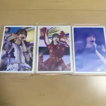 노기자카46 choose5 브로마이드 13th 바스라 스가와라 사츠키