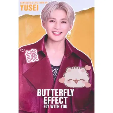 야기 유세이 FANTASTICS 포토 카드 시크릿