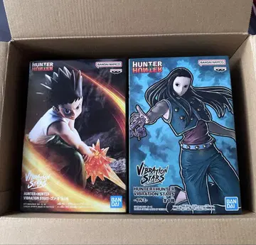 HUNTER x HUNTER VIBRATION STARS 곤 이르미