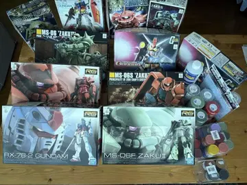 RG RX-78-2 건담, RG MS-06S