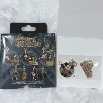 디즈니씨 빅뱅 비트 미키 참 BBB