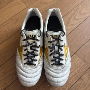 모렐리아2Japan 26.5cm