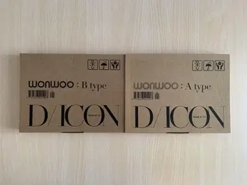DICON 원우 정한 Atype Btype