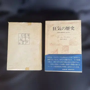 광기의 역사 미셸 푸코