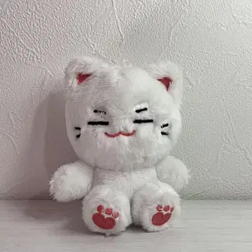 txt 용정 마스터 인형