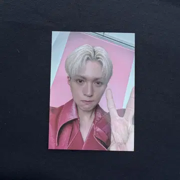 야기 유세이 트레이딩 카드