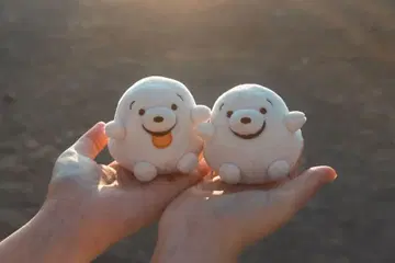 이누메다카짱 봉제 인형 2개 세트