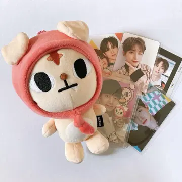 CRAVITY 정모 CCREW 란모