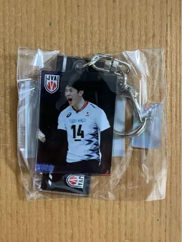 배구 일본 대표 남자 이시카와 유키 모바가챠 2연 아크릴 키링