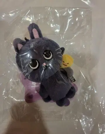 RIIZE PARK 원빈 냥이 8cm 키링 공식 굿즈