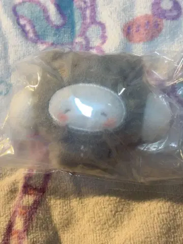 코기뮨 시크릿 브로치 천사의 놀이회