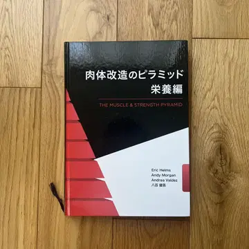 신체 개조의 피라미드 영양편