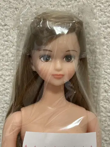 리카짱 캐슬 시온