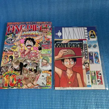 [ 레어템 ] ONE PIECE 10th Treasures 보물