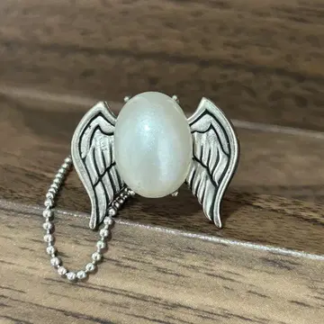 가정교사 히트맨 REBORN! 봉고레 반지 육조화 백란 마레 반지 5