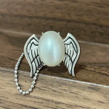 가정교사 히트맨 REBORN! 봉고레 반지 육조화 백란 마레 반지 5