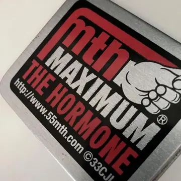 MAXIMUM THE HORMONE 맥시멈 더 호르몬 케이스 소품함