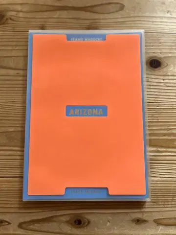 ARIZONA ISSEY MIYAKE 이삼 노구치와 미야케 잇세이