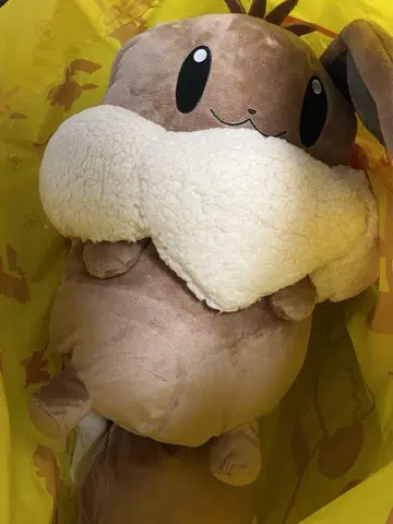 버튼의 이브이 백팩 택 포함