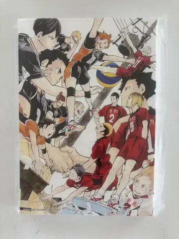 하이큐 아트 보드 쓰레기장 결전 사제 BD1