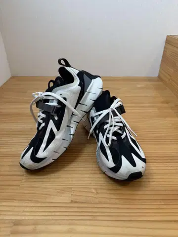 Reebok x Ian Paley Zig Kinetica 26.5cm