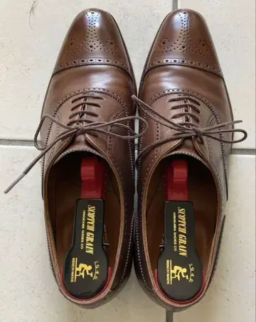 스코치 그레인 26cm 9월 말 폐기 처분 예정