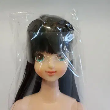 리카짱 캐슬 오타노시미 인형 타마키 블랙 헤어 공주 컷