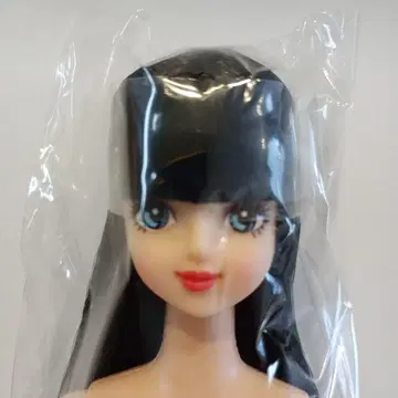리카짱 캐슬 즐거운 인형 사야카 밑단 롤 블랙 헤어 블루 아이