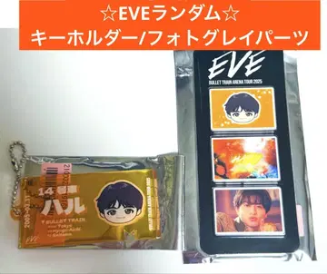 초특급 하루 EVE 랜덤 키링 사진 그레이 파츠