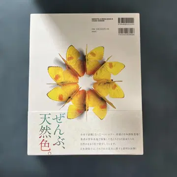 세계에서 가장 아름다운 곤충 도감 크리스토퍼 멀린