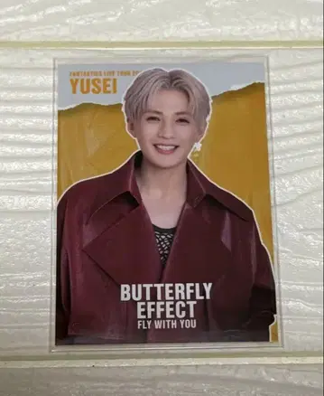 FANTASTICS 야기 유세이 포토 카드 시크릿 버터플라이